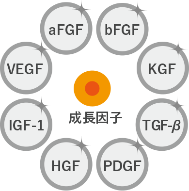 成長因子 aFGF,bFGF,KGF,TGF-β,PDGF,HGF,IGF-1,VEGF